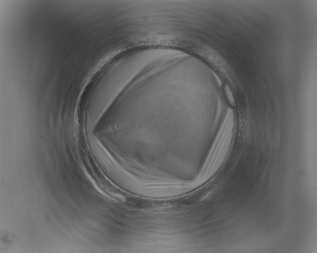 X0000082990674200702160024