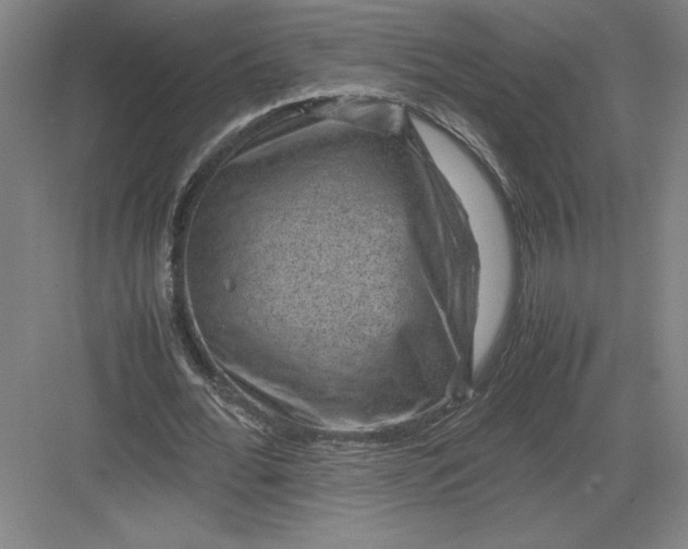 X0000082990676200702160024