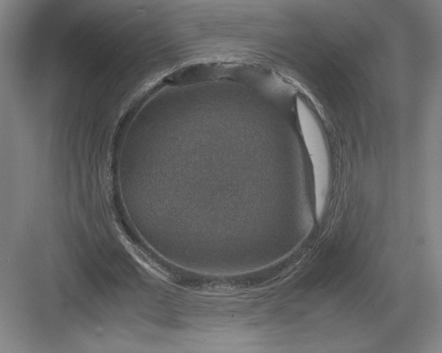 X0000082990677200702160024