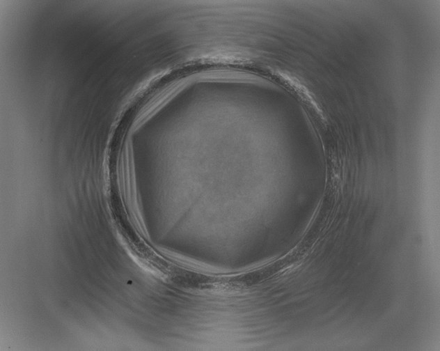 X0000082990678200702160024