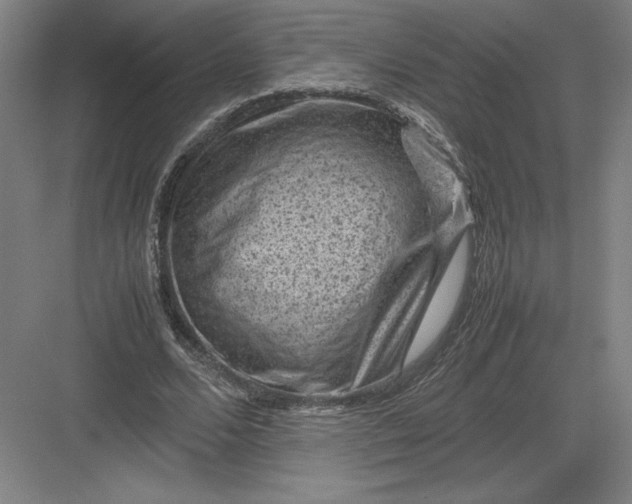 X0000082990680200702160024