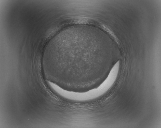 X0000082990681200702160024