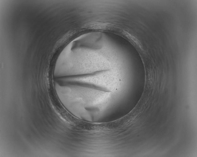 X0000082990682200702160024