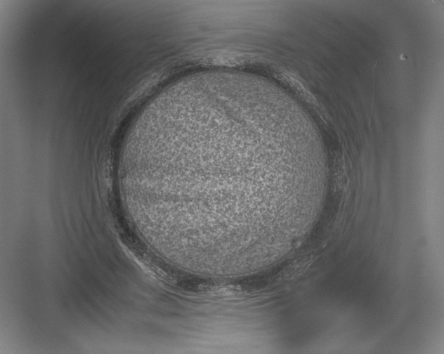 X0000082990683200702160024