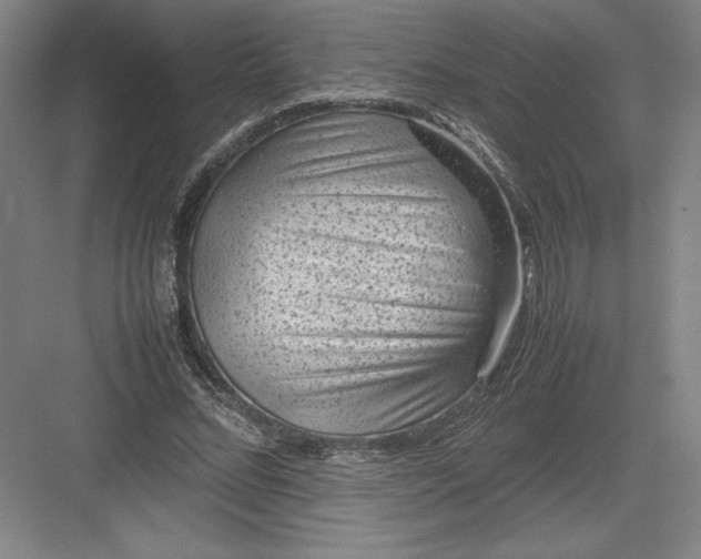 X0000082990684200702160024