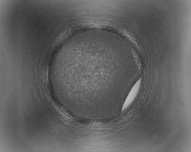 X0000082990685200702160024