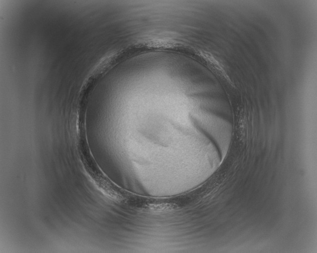 X0000082990686200702160024