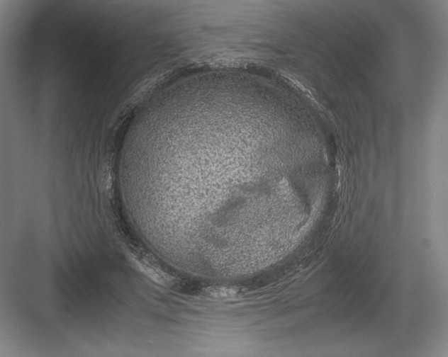 X0000082990687200702160024