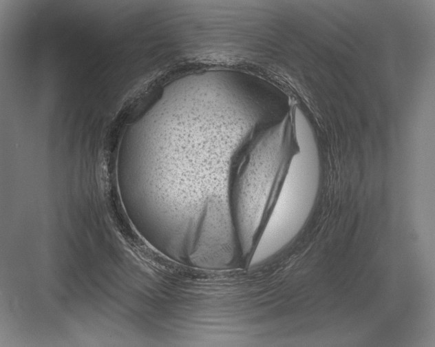 X0000082990688200702160024