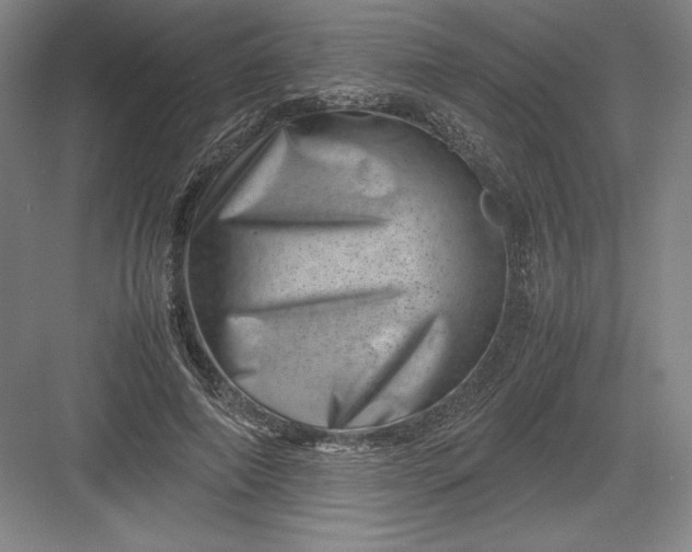 X0000082990690200702160024