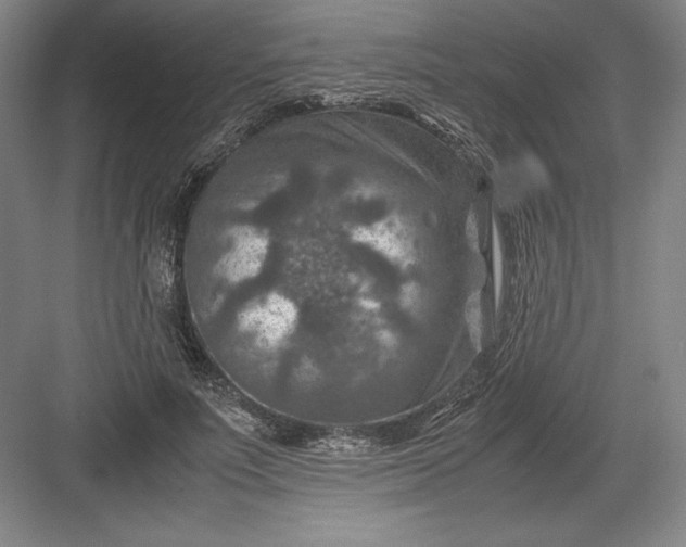 X0000082990691200702160024