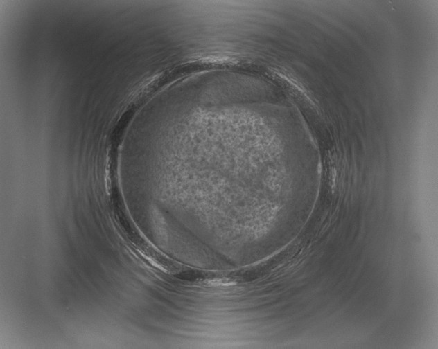 X0000082990692200702160024