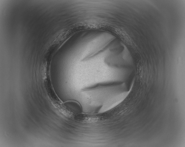 X0000082990694200702160024