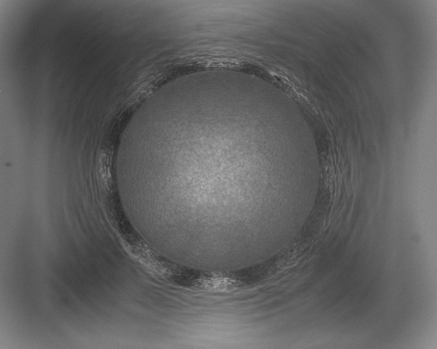 X0000082990695200702160024