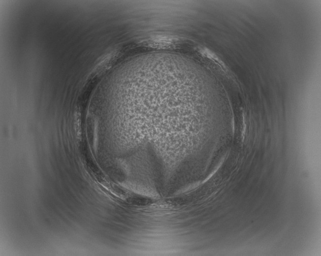 X0000082990696200702160024