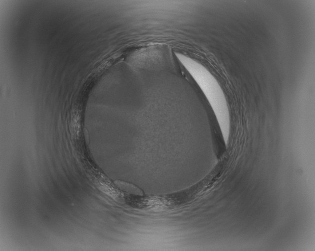 X0000082990697200702160024