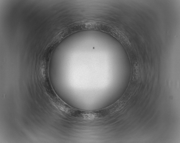 X0000082990698200702160024