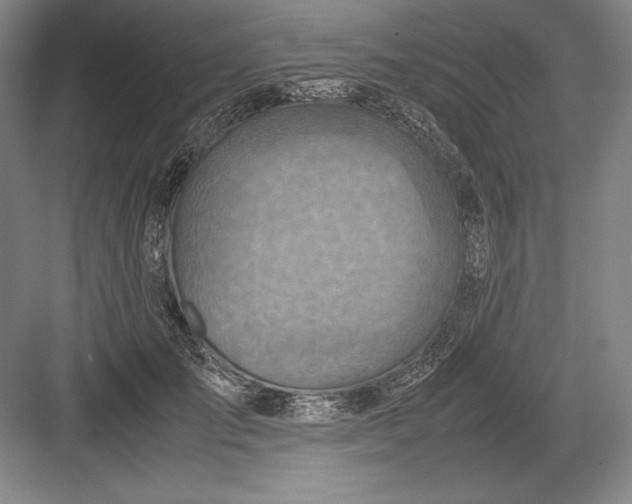 X0000082990701200702160024