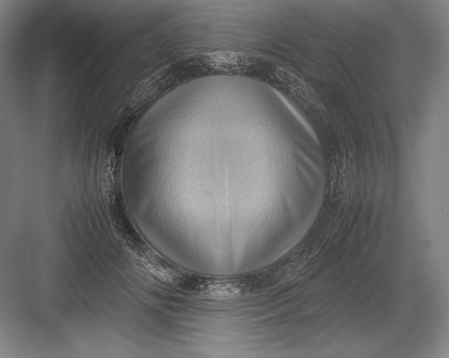 X0000082990702200702160024