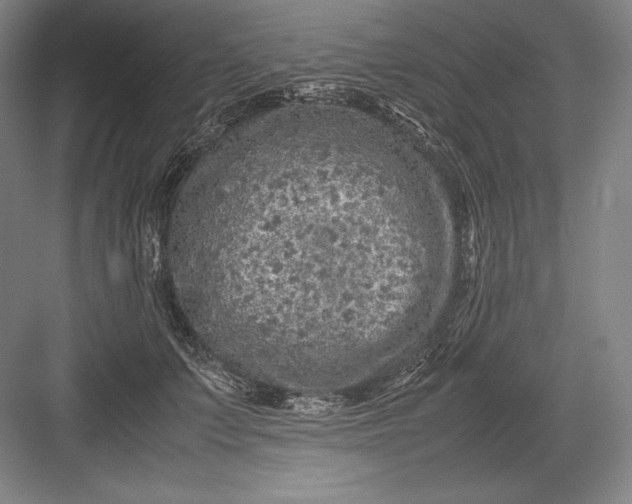 X0000082990703200702160024