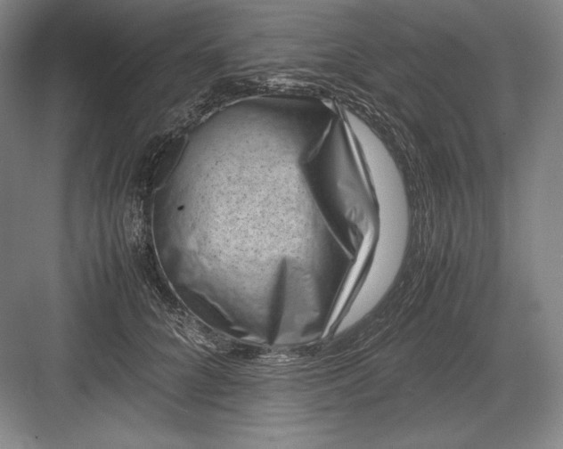 X0000082990704200702160024