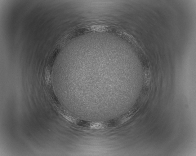 X0000082990705200702160024