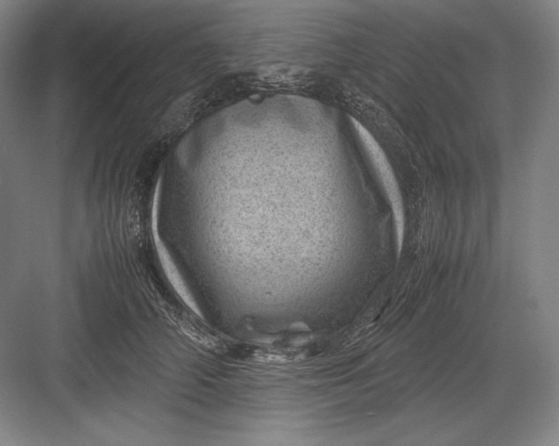 X0000082990706200702160024