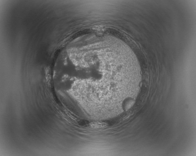 X0000082990707200702160024