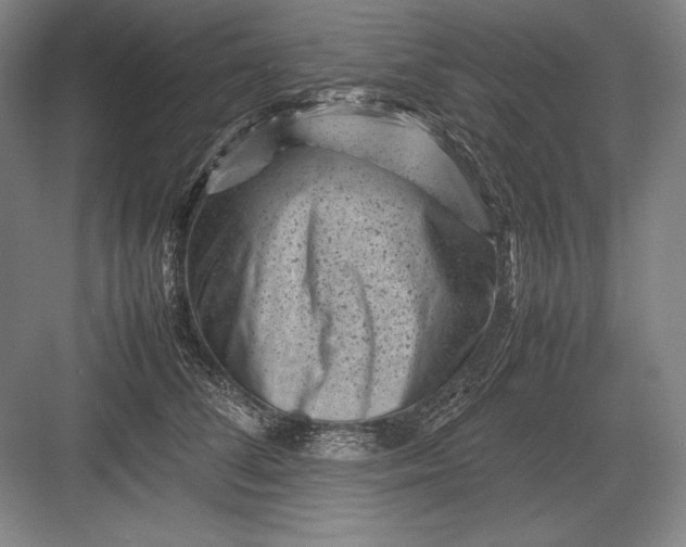 X0000082990708200702160024