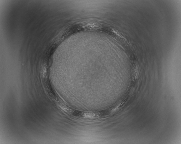 X0000082990709200702160024