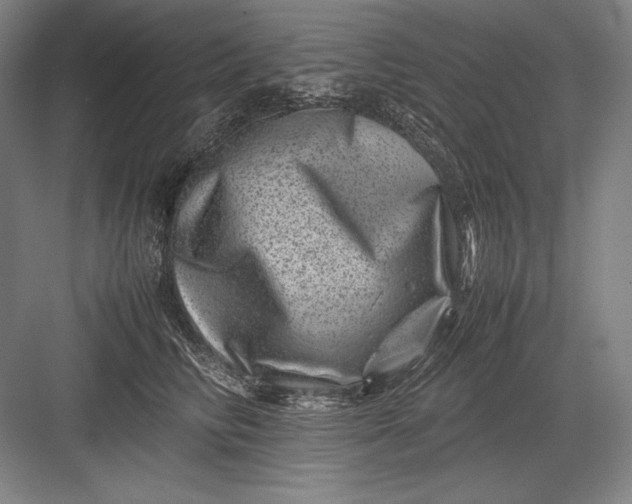 X0000082990710200702160024