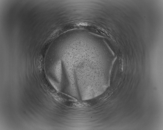 X0000082990712200702160024