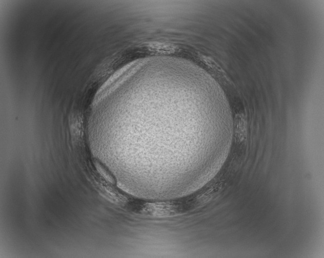 X0000082990713200702160023