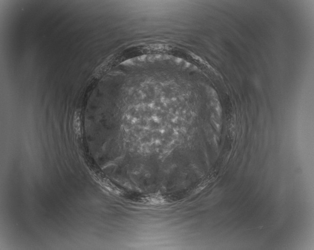 X0000082990715200702160023