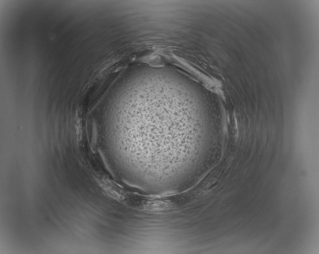 X0000082990716200702160023