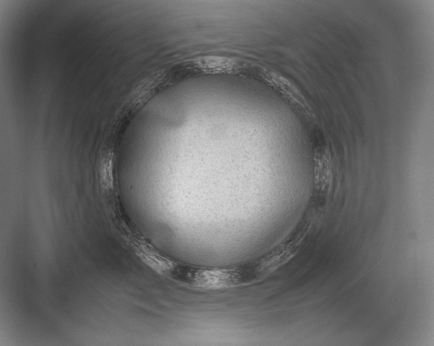 X0000082990717200702160023