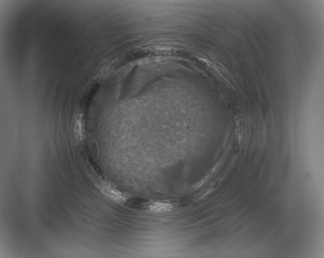 X0000082990718200702160023