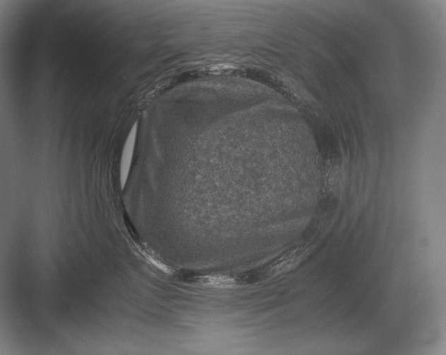 X0000082990719200702160023