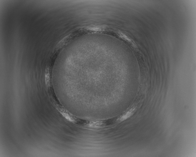 X0000082990720200702160023