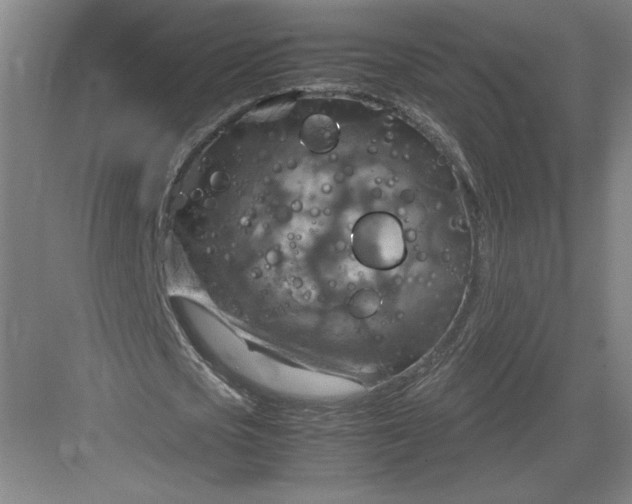 X0000082990721200702160023