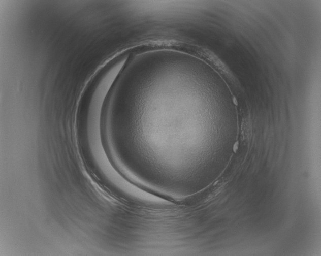 X0000082990722200702160023