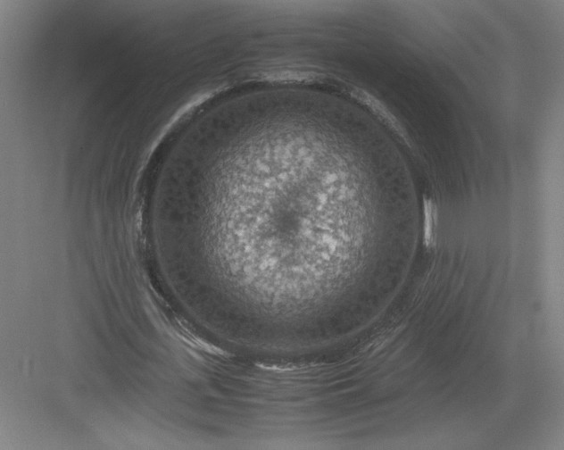 X0000082990723200702160023