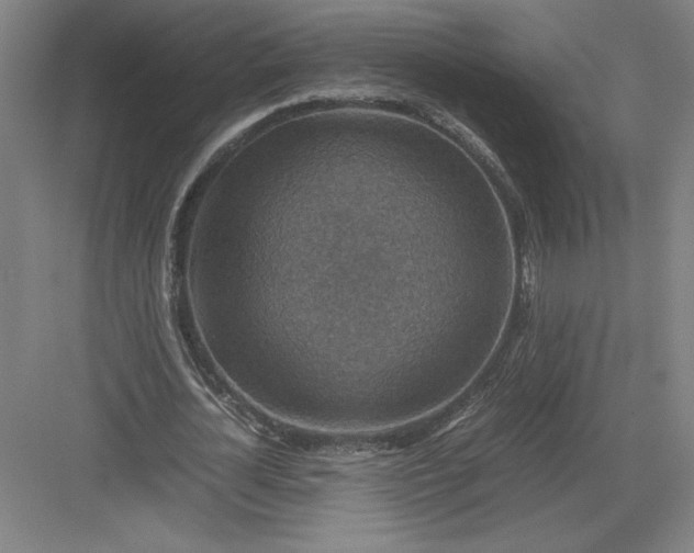 X0000082990724200702160023