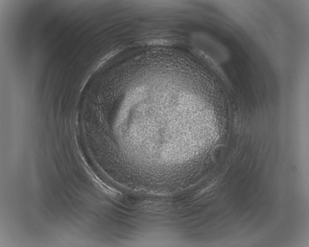 X0000082990725200702160023