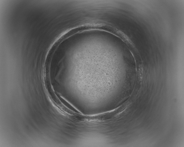 X0000082990726200702160023