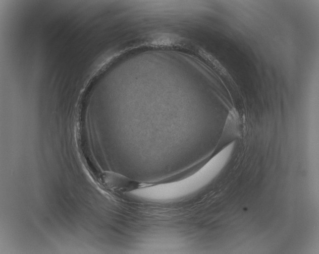 X0000082990728200702160023