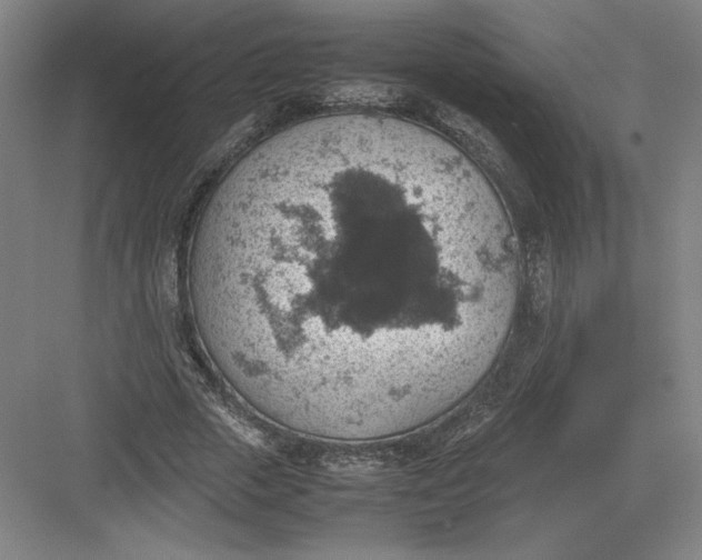 X0000082990729200702160023