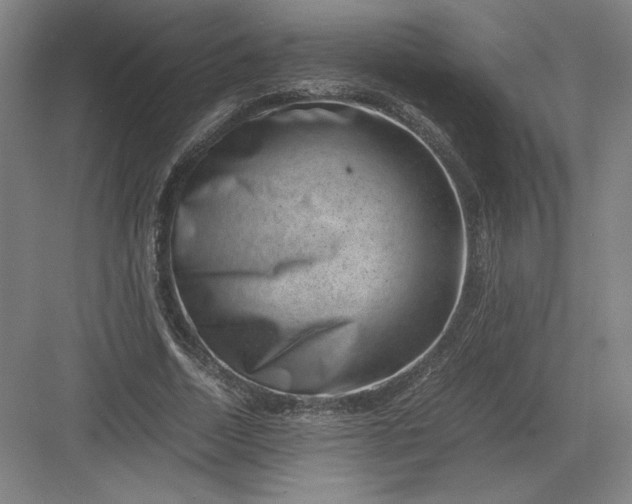 X0000082990730200702160023