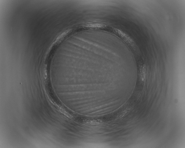 X0000082990731200702160023