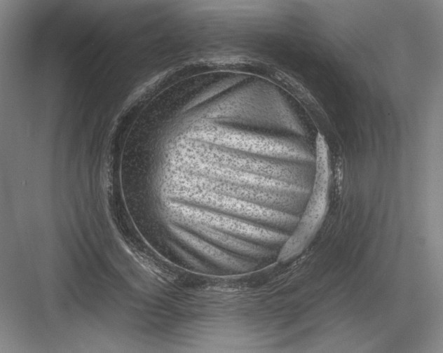 X0000082990732200702160023